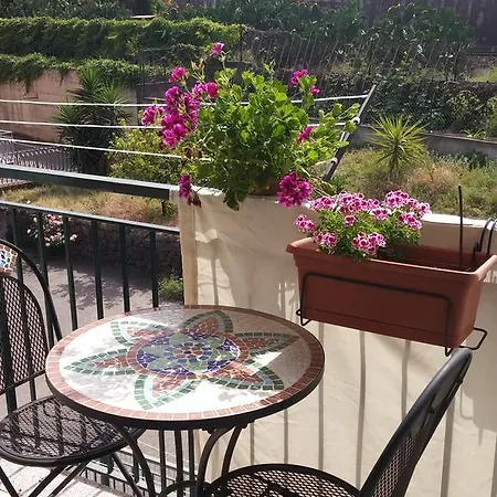 Panoramic House